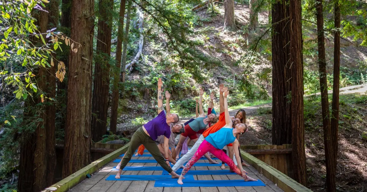 People practicing balanced movement in a bright Byron Bay studio